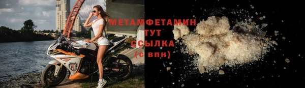 прущие грибы Михайловка